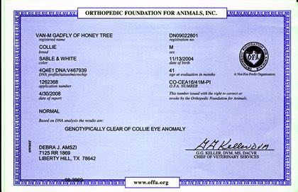 Gadfly OFA nc of CEA certificate.jpg